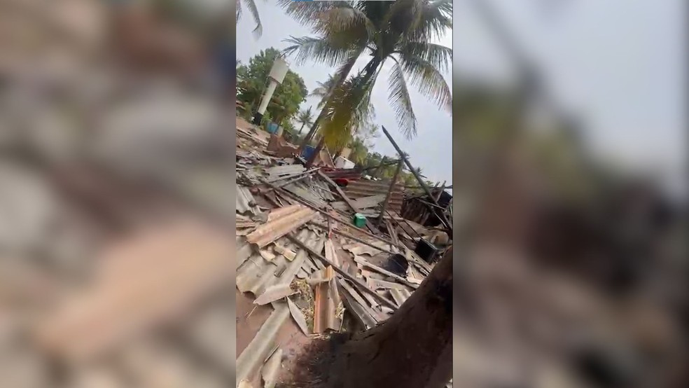 Fortes chuvas derrubam &aacute;rvores e propriedades em Pontalinda (SP) &mdash; Foto: Divulga&ccedil;&atilde;o/WhatsApp