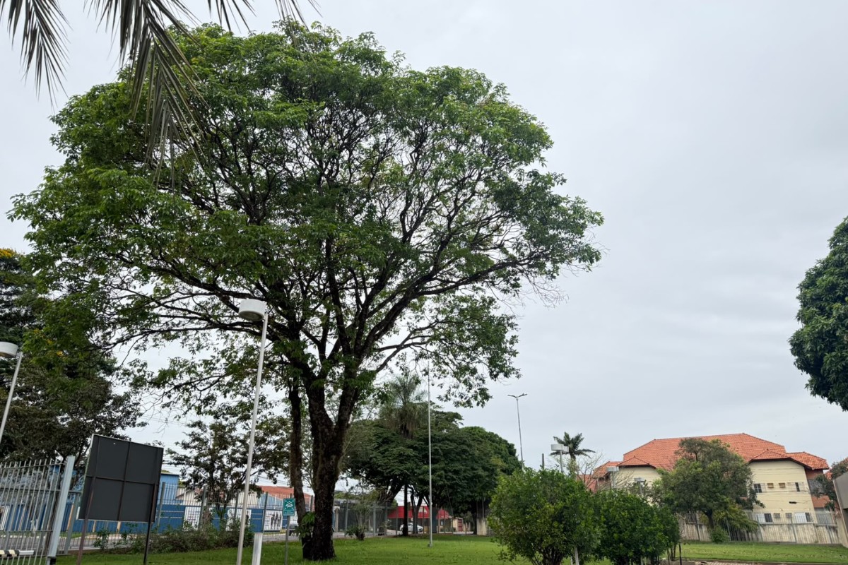 Frente fria derruba temperaturas, e feriado deve ser ainda mais gelado em MS; veja a previsão