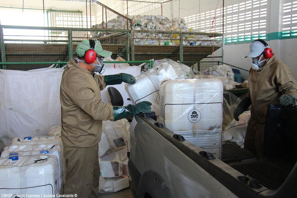 Logística reversa: MA destina mais de 945 toneladas de embalagens vazias de defensivos agrícolas para a reciclagem — Foto: Divulgação/inpEV
