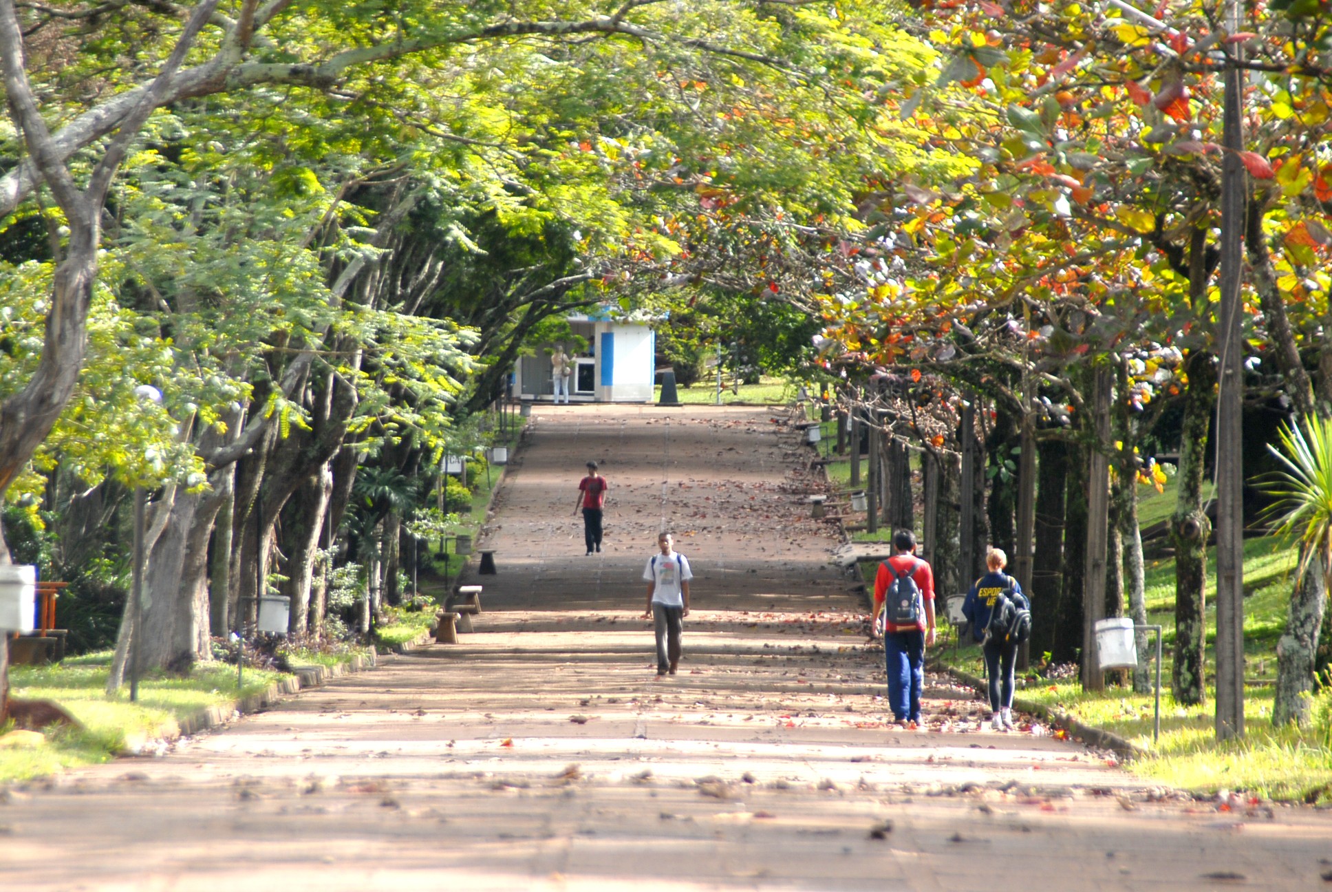 UEL abre vagas para transferência externa; veja como se inscrever 