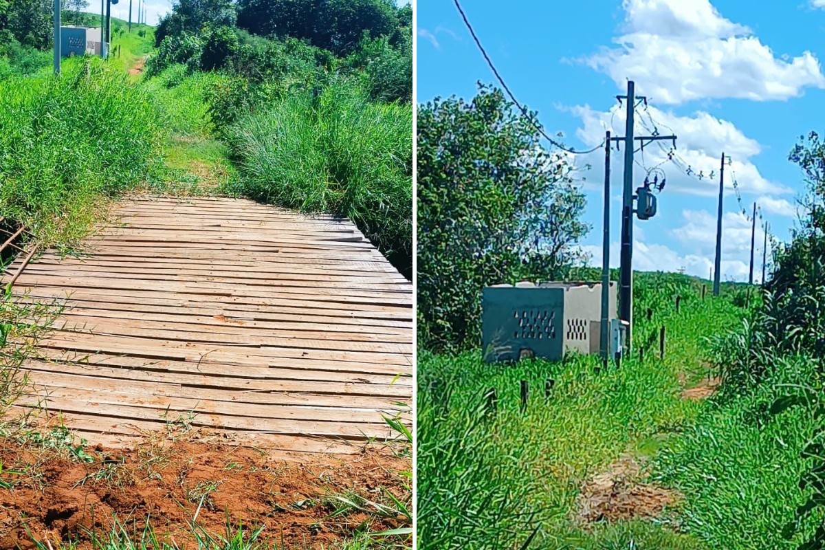 Mulher é multada em quase R$ 4 mil após desmatamento ilegal ser flagrado por imagens de satélite no interior de SP