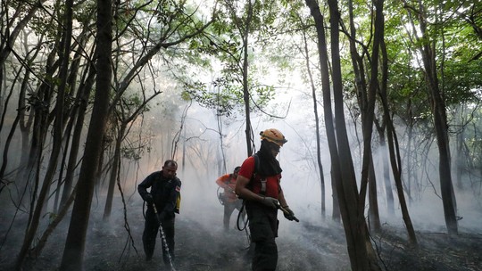 Incêndio de grande proporção atinge área de floresta em Iranduba - Foto: (Mauro Neto/Secom)