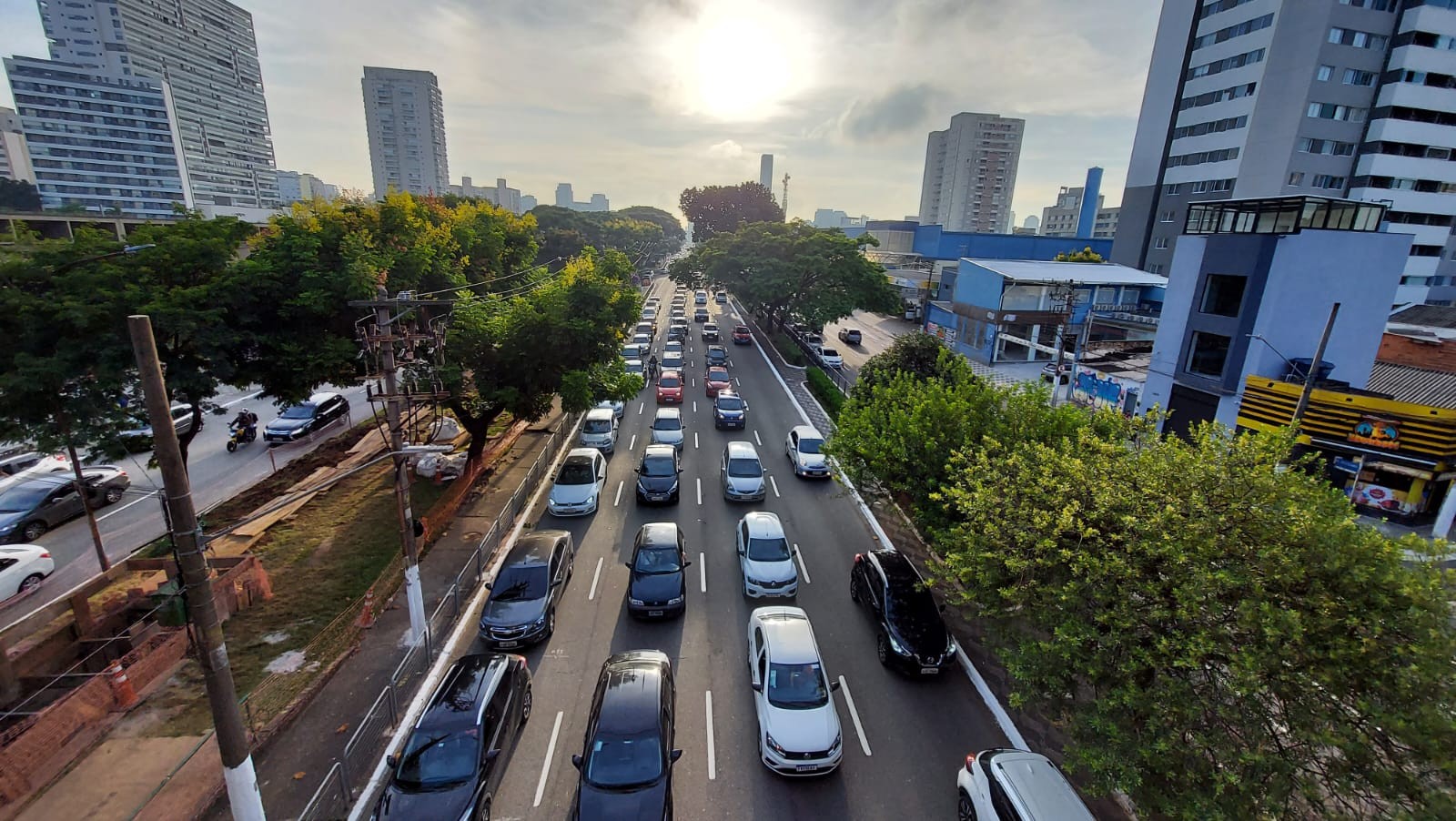 Obra do BRT vai remover quase 500 árvores na Zona Leste, região com menos vegetação em SP