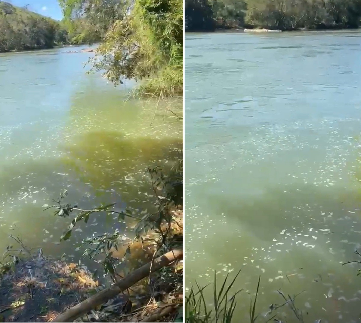 Espuma e mau cheiro voltam a ser registrados no Rio Pomba, no Noroeste Fluminense