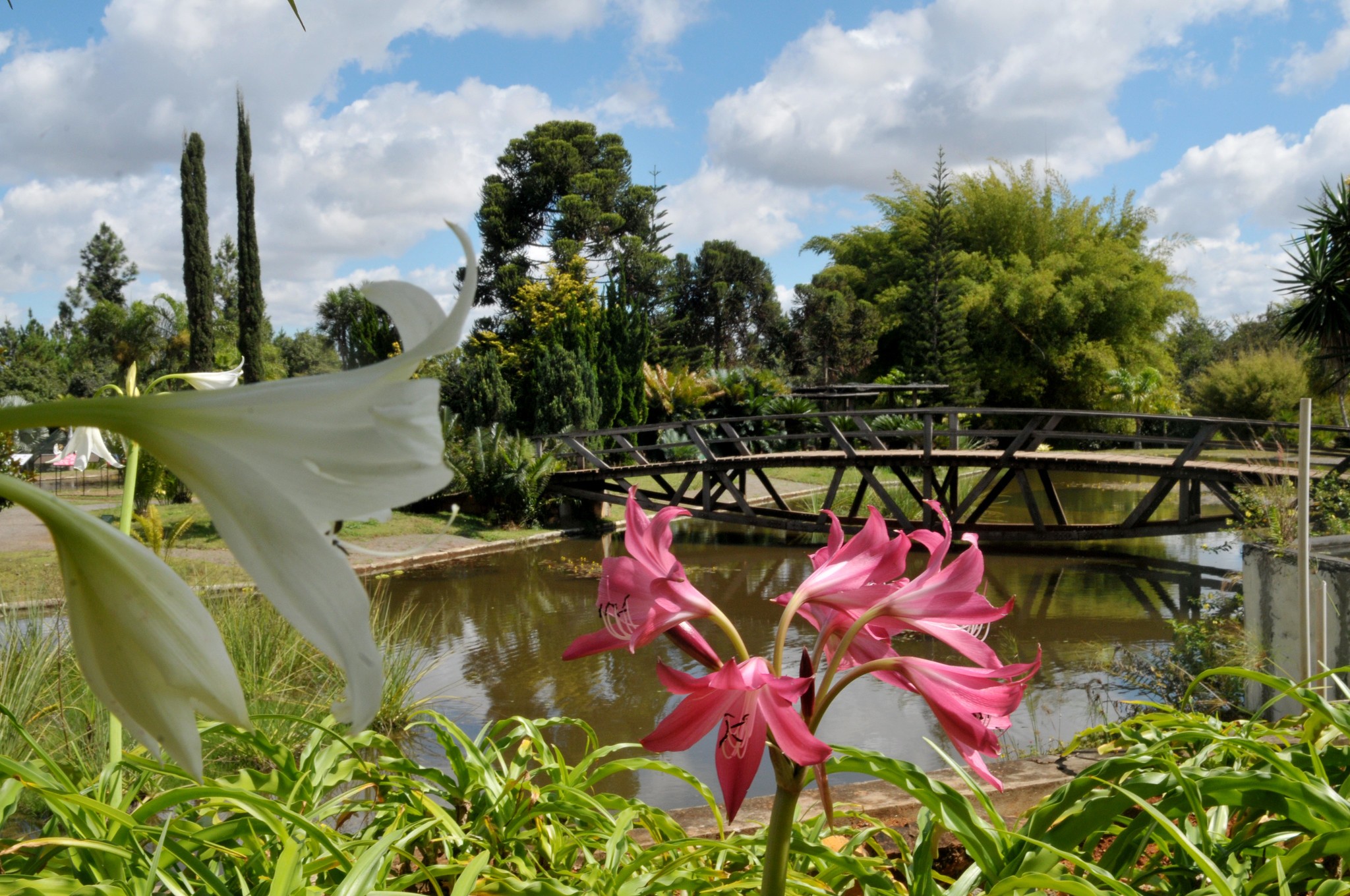 Jardim Botânico de Brasília recebe atividades gratuitas para promover bem-estar e saúde mental; veja programação