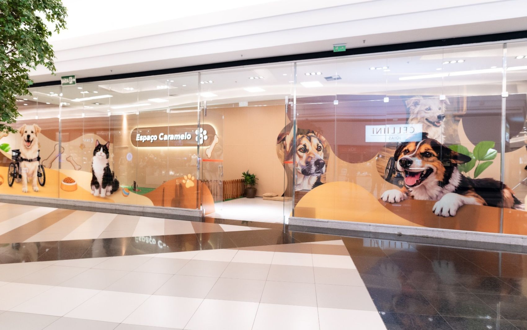 Goiânia ganha espaço pet em shopping com evento de adoção de cães 