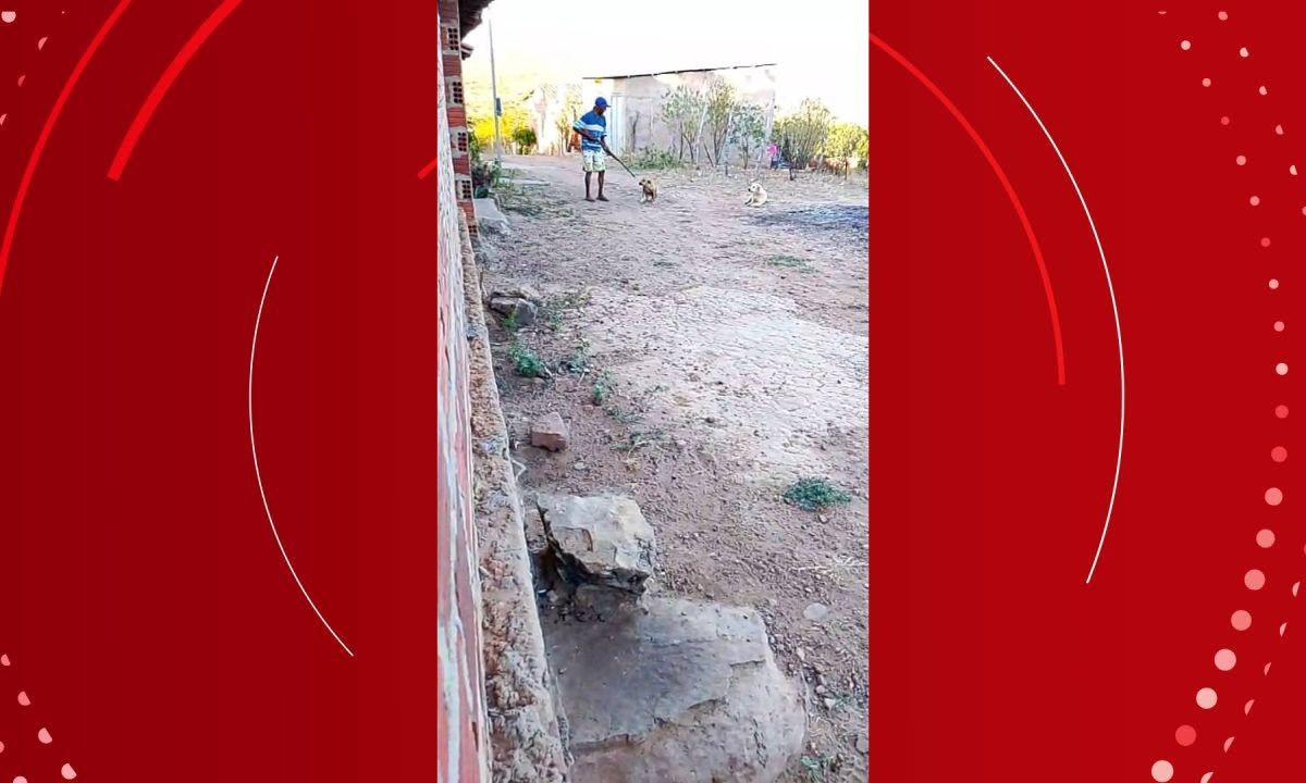 Homem é procurado pela polícia após matar cachorro a tiros no interior da Bahia
