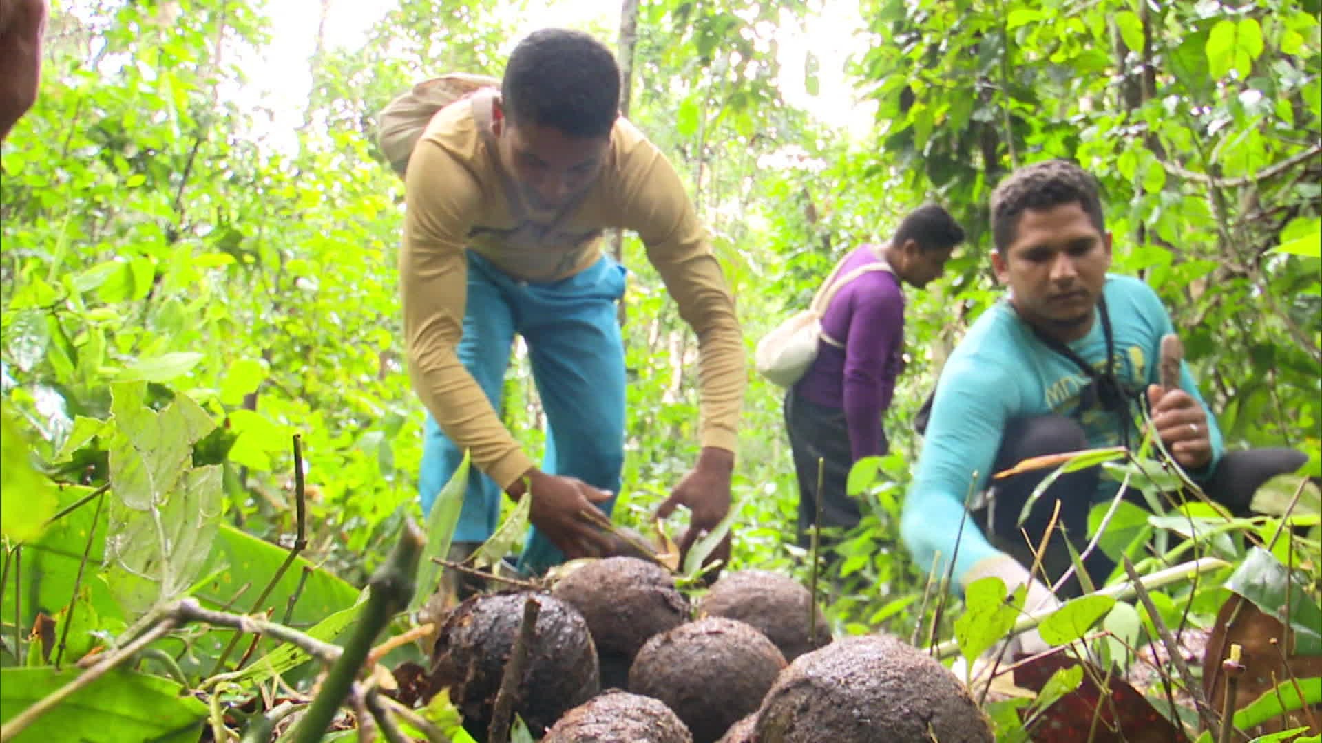 Após questionamento na Justiça, flexibilização do licenciamento ambiental é revogada no Acre