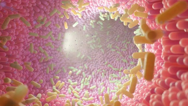 Os cientistas acreditam que a microbiota intestinal possa influenciar nosso comportamento, incluindo as interações sociais. — Foto: Getty Images / BBC