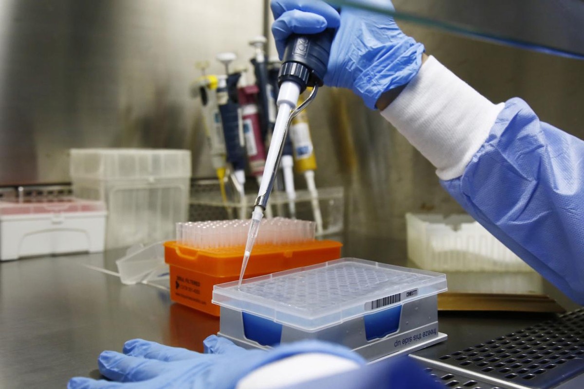 Pesquisadores da USP criam 'rede social' de cientistas para doação de ...