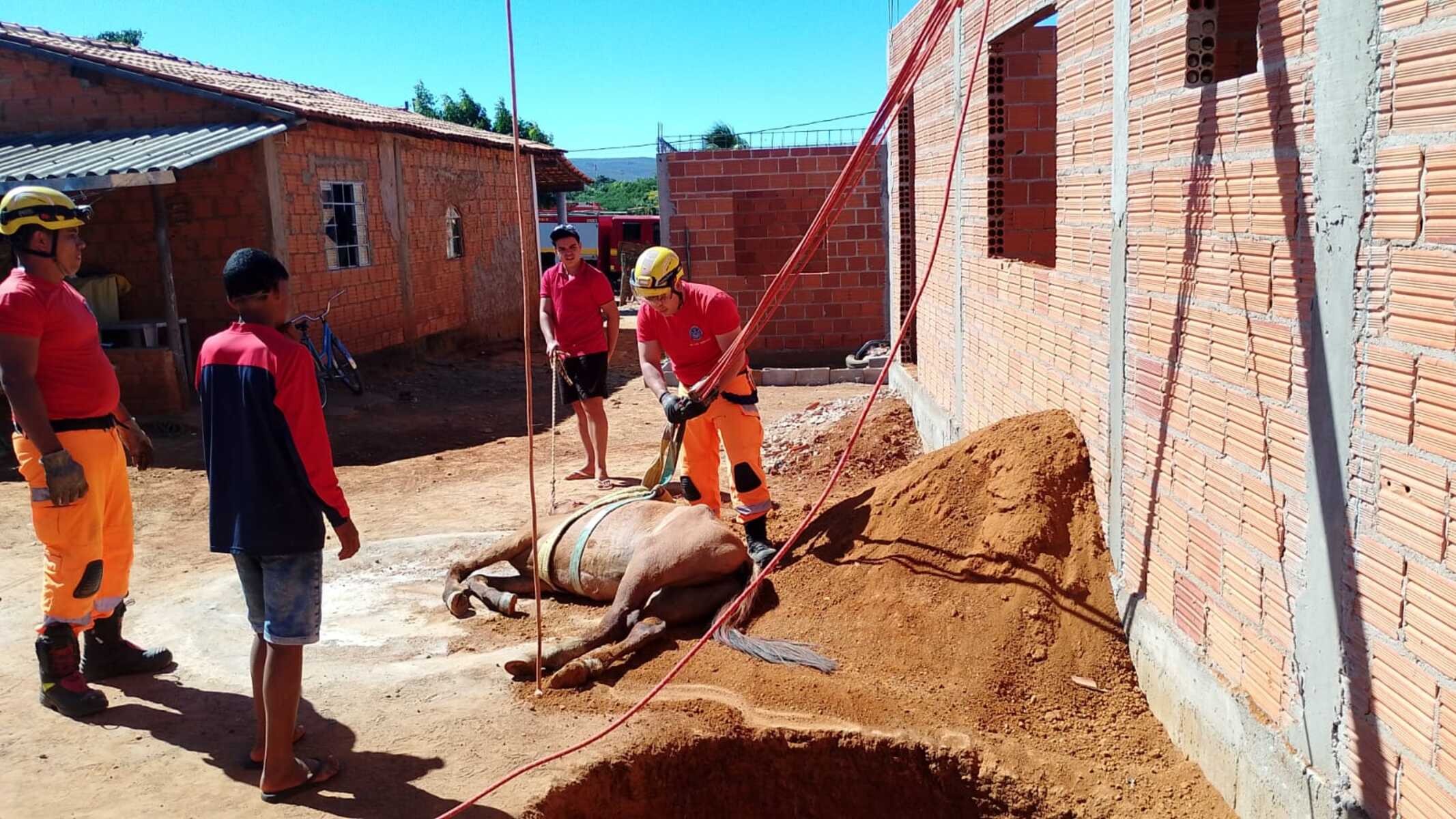 Cavalo é resgatado pelos bombeiros após cair em fossa séptica em Janaúba