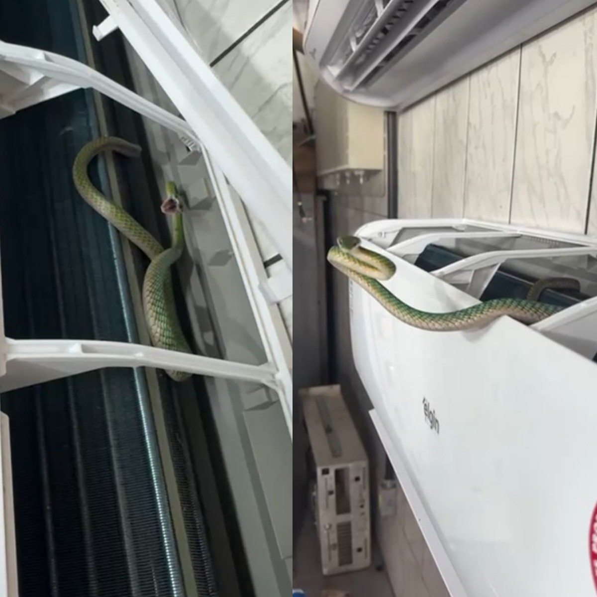 Você Não Tá Convidada pro Meu Bat Mitzvá!