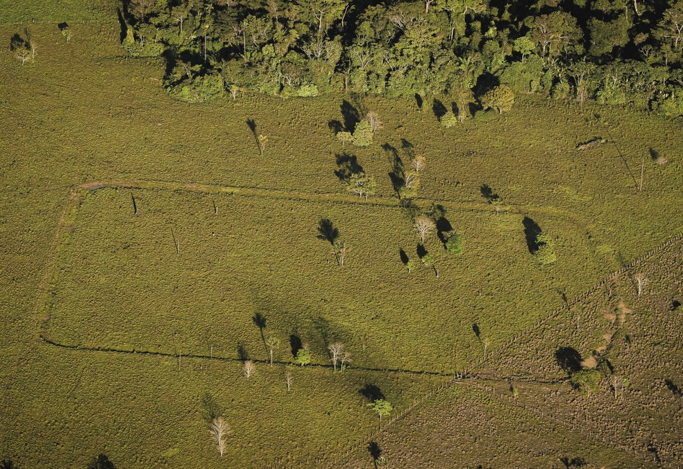 Imagens inéditas de geoglifos no Sul do Amazonas — Foto: Valter Calheiros