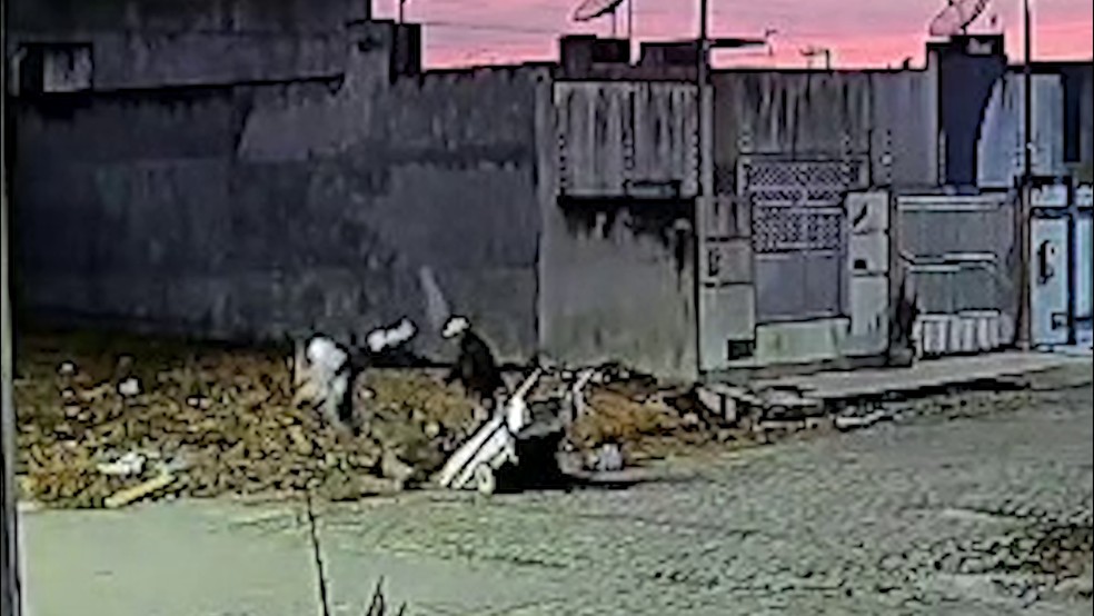 Homem preso em Itabaiana suspeito de matar e carbonizar cachorro — Foto: SSP/SE