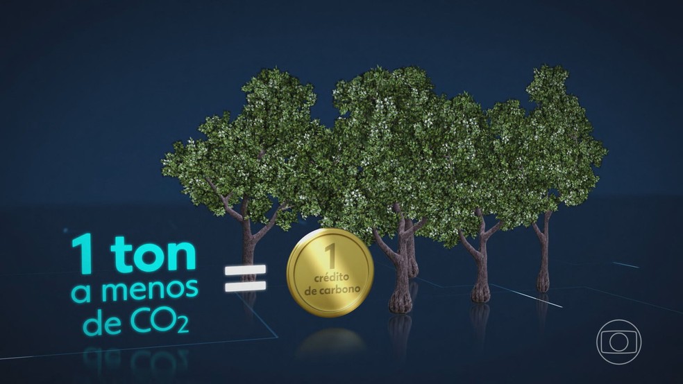 Árvores absorvem o CO2 — Foto: Reprodução/TV Globo
