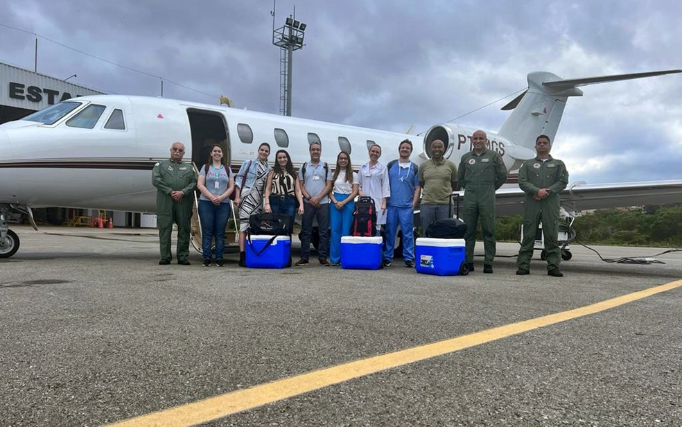 Órgãos de paciente do Sul de Minas são captados em transplantados em hospital de Belo Horizonte — Foto: GMG / Divulgação