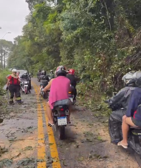 Árvores caem em Belém com chuvas fortes; mais de 5 mil casas ficam sem energia