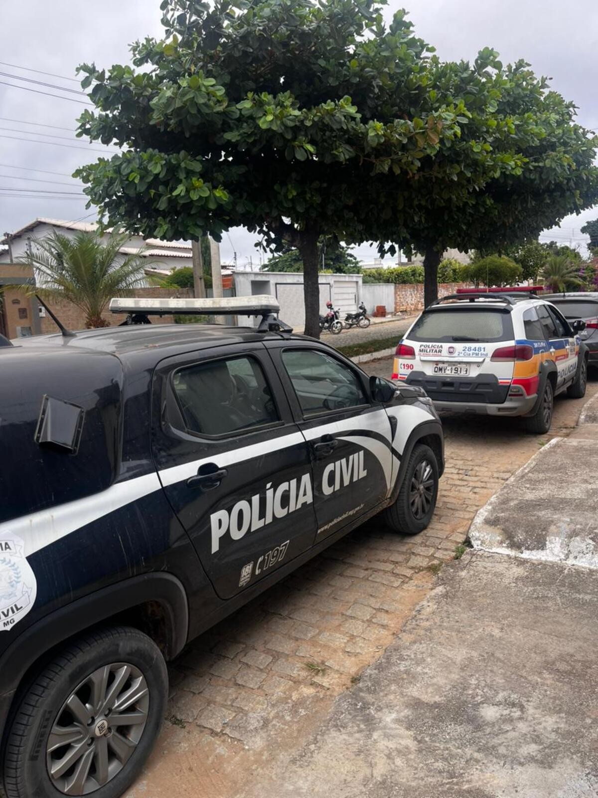 Investigado por maus-tratos aos enteados é preso em área de mata após tentar fugir de operação pulando muros
