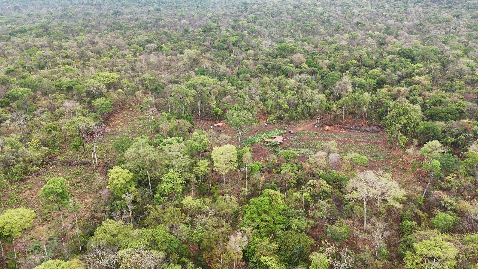 Indígenas descobrem madeireiros dentro de território em MT — Foto: Arquivo pessoal