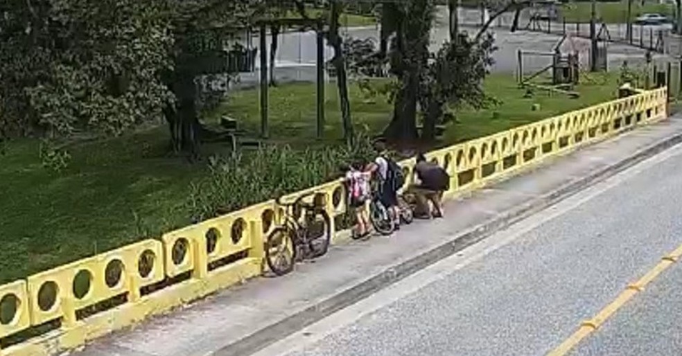 Mulher joga próprio cachorro de ponte na frente dos filhos em Joinville — Foto: Reprodução/Polícia Civil