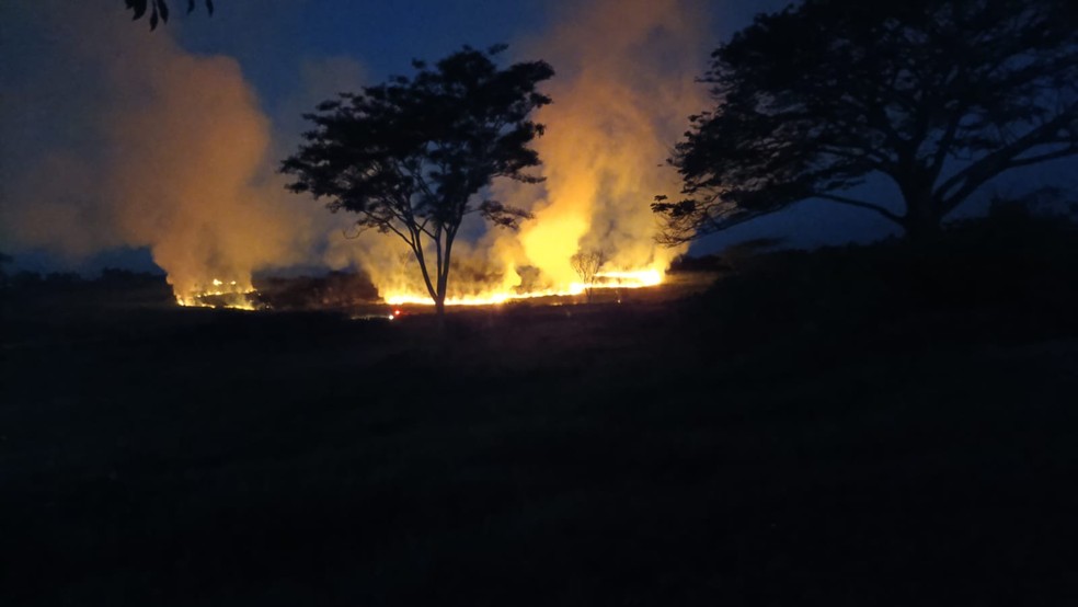 2 de 2
Fogo iniciou &agrave;s margens da SP-294 e se alastrou para uma pastagem pr&oacute;xima a &aacute;reas residenciais &mdash; Foto: Corpo de Bombeiros