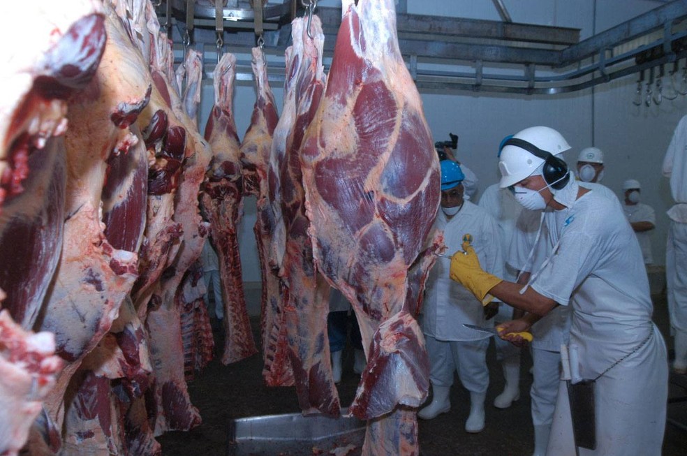 Aumento da produção foi acompanhado das exportações com recordes de carne bovina, com cerca de 102 mil toneladas em 2024. — Foto: Kleiber Arantes/ Governo do Tocantins