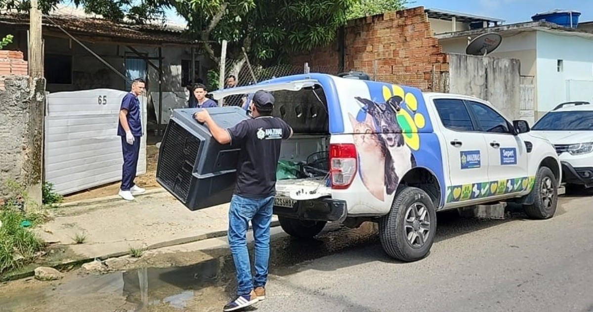 Mulher é presa por deixar cães feridos, desnutridos e um deles sem olho em Manaus