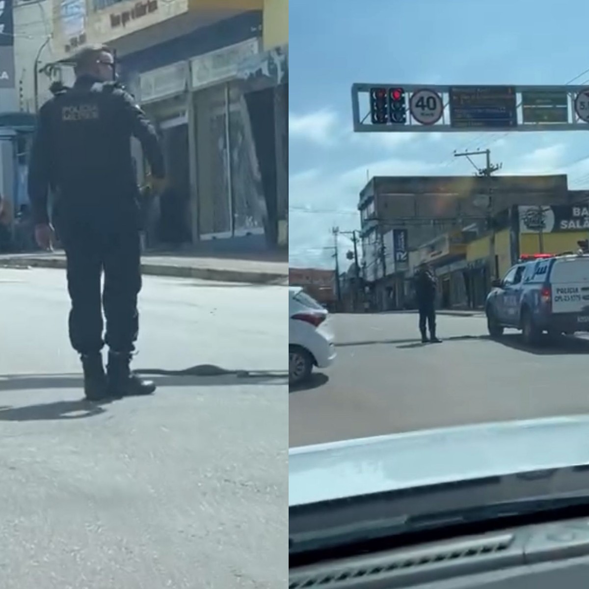 VÍDEO: cobra 'para o trânsito' enquanto tenta atravessar avenida em Porto Velho