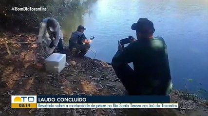 Laudo aponta falta de oxigênio em rio com alta mortandade de peixes