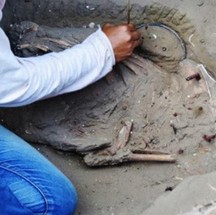 Escavação do segundo sepultamento encontrado, ainda em 2020, na pesquisa arqueológica determinada pelo Iphan em local de obra da MRV, em São Luís (MA) — Foto: Reprodução de W. Lage Arqueologia 