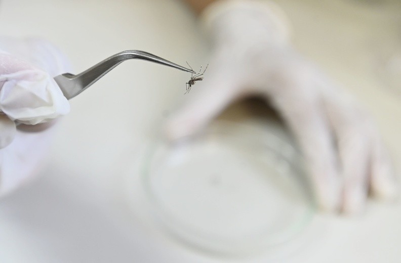 Campinas confirma mais 4 mortes e chega 41 óbitos por dengue em 2024