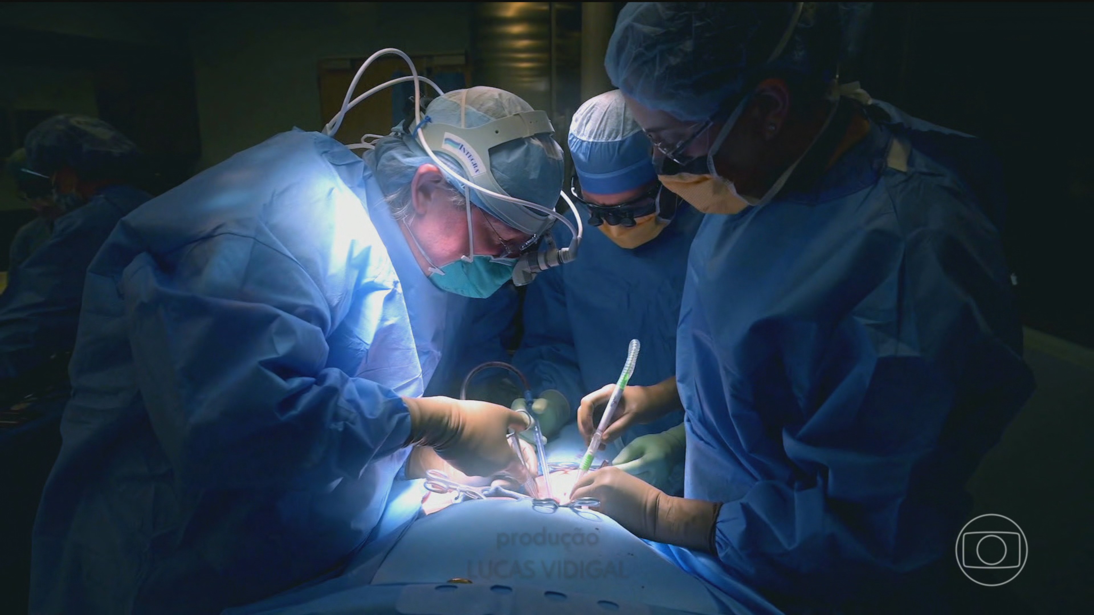 Nos Estados Unidos, paciente fica 9 meses com um rim transplantado de porco; feito é inédito
