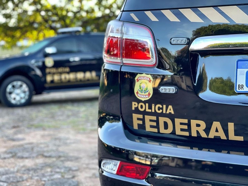 Viaturas da Polícia Federal (PF)  — Foto: PF/Divulgação