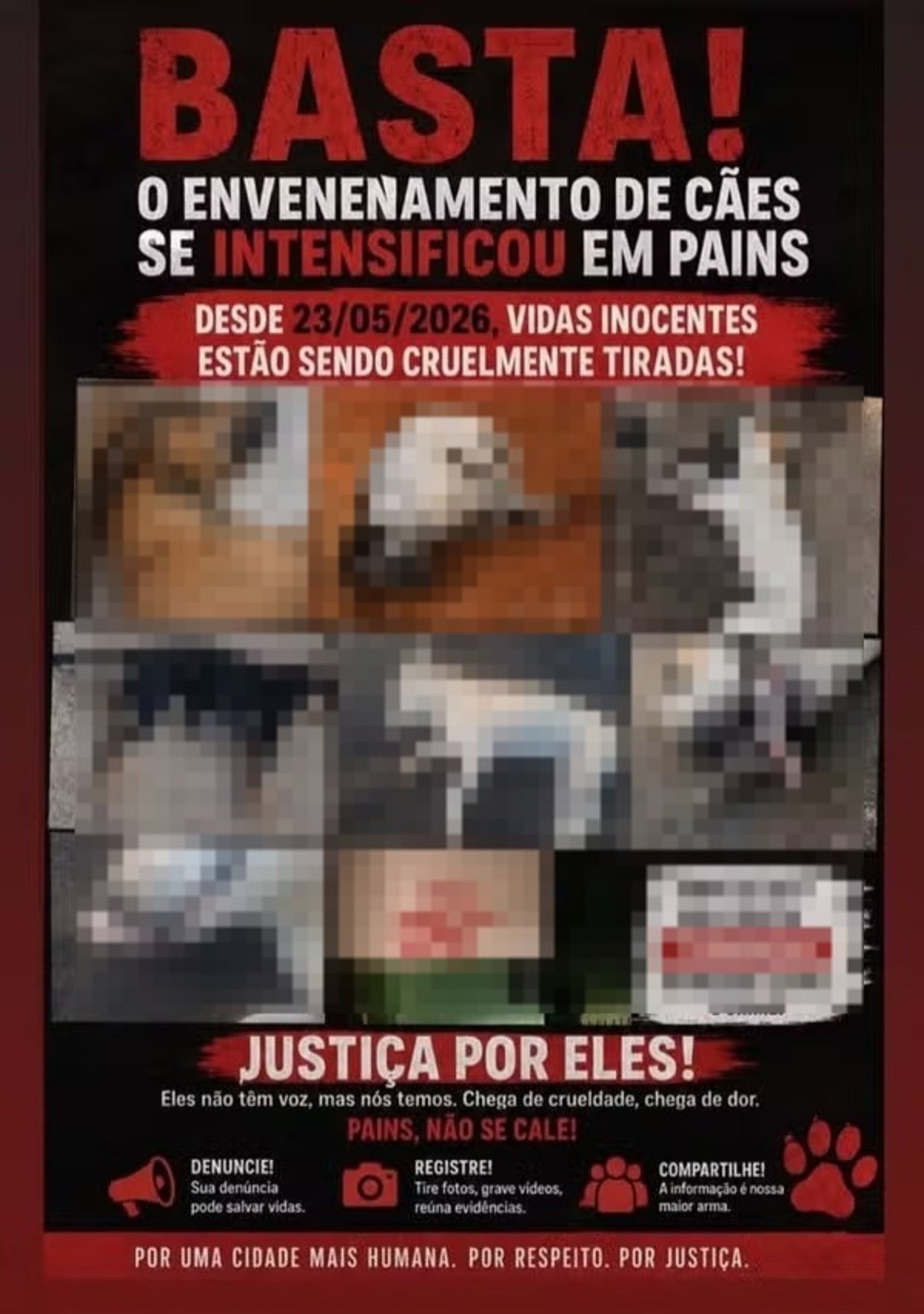 Morte de pelo menos 10 cães e gatos por suspeita de envenenamento é investigada em MG 