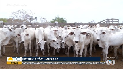 Adapec orienta criadores sobre notificação imediata de doenças em bovinos