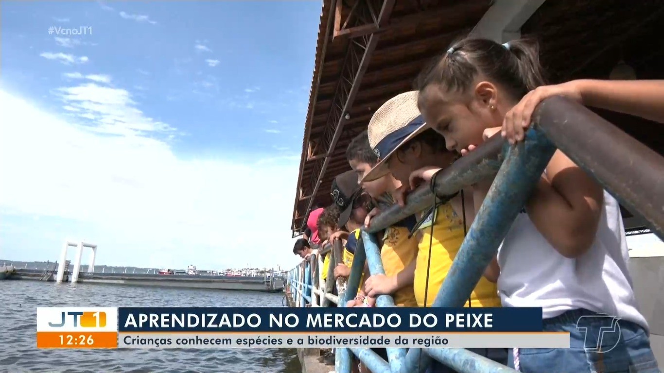 Visita pedagógica ao Mercado do Peixe ensina crianças de Santarém sobre a importância ambiental dos botos