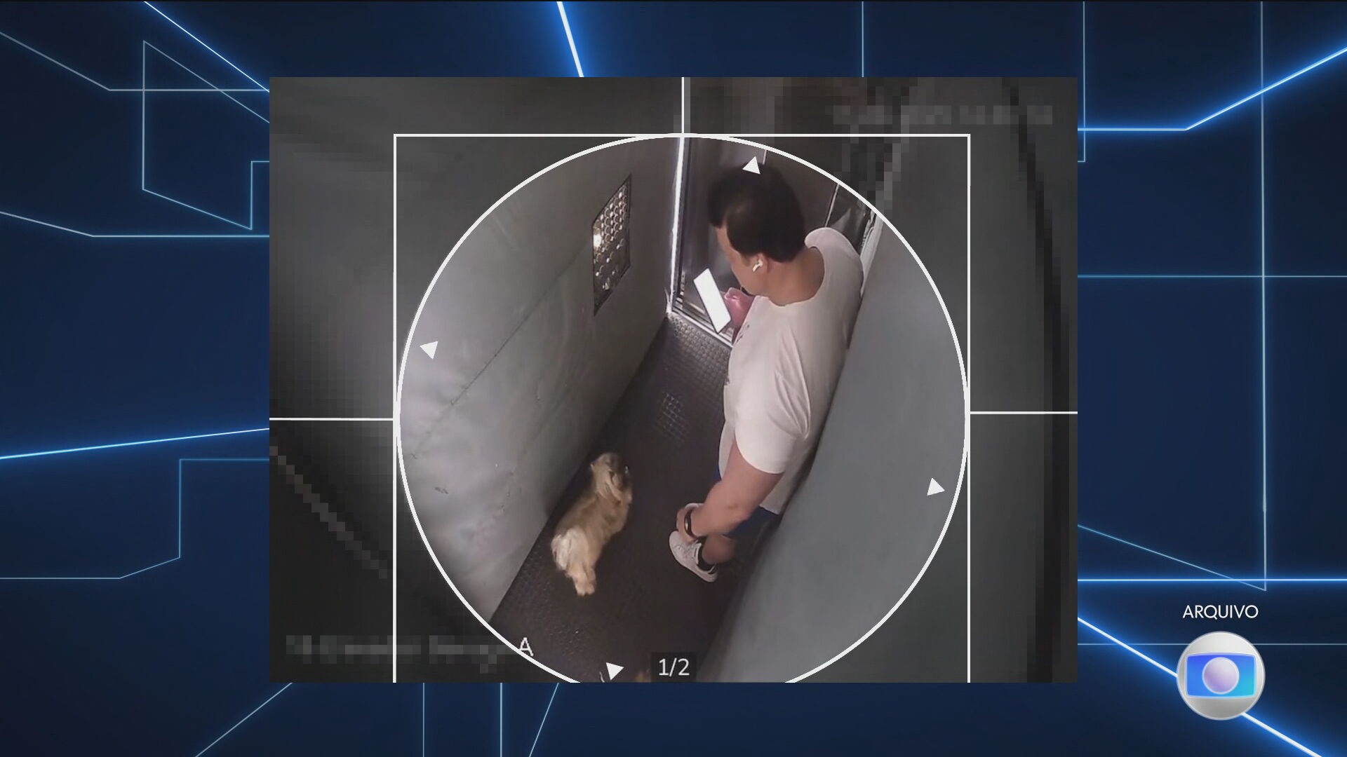 Homem que levou cachorros para passear após assassinar gari confessa crime em MG