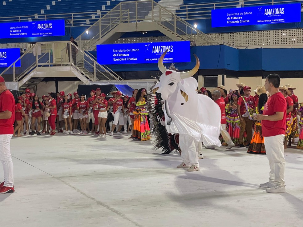 Boi Garantido em ensaio técnico aberto ao público no Bumbódromo de Parintins. — Foto: Patrick Marques/g1 AM