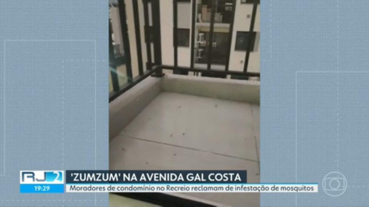 VÍDEOS: RJ2 de sábado, 13 de setembro de 2025