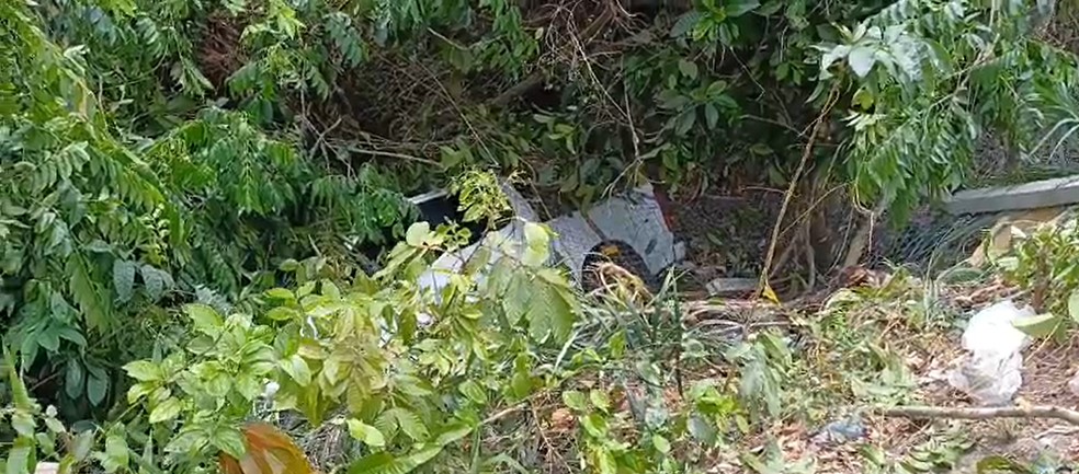 Motorista ficou preso as ferragens e causa do acidente é desconhecida. — Foto: Reprodução/Redes Sociais