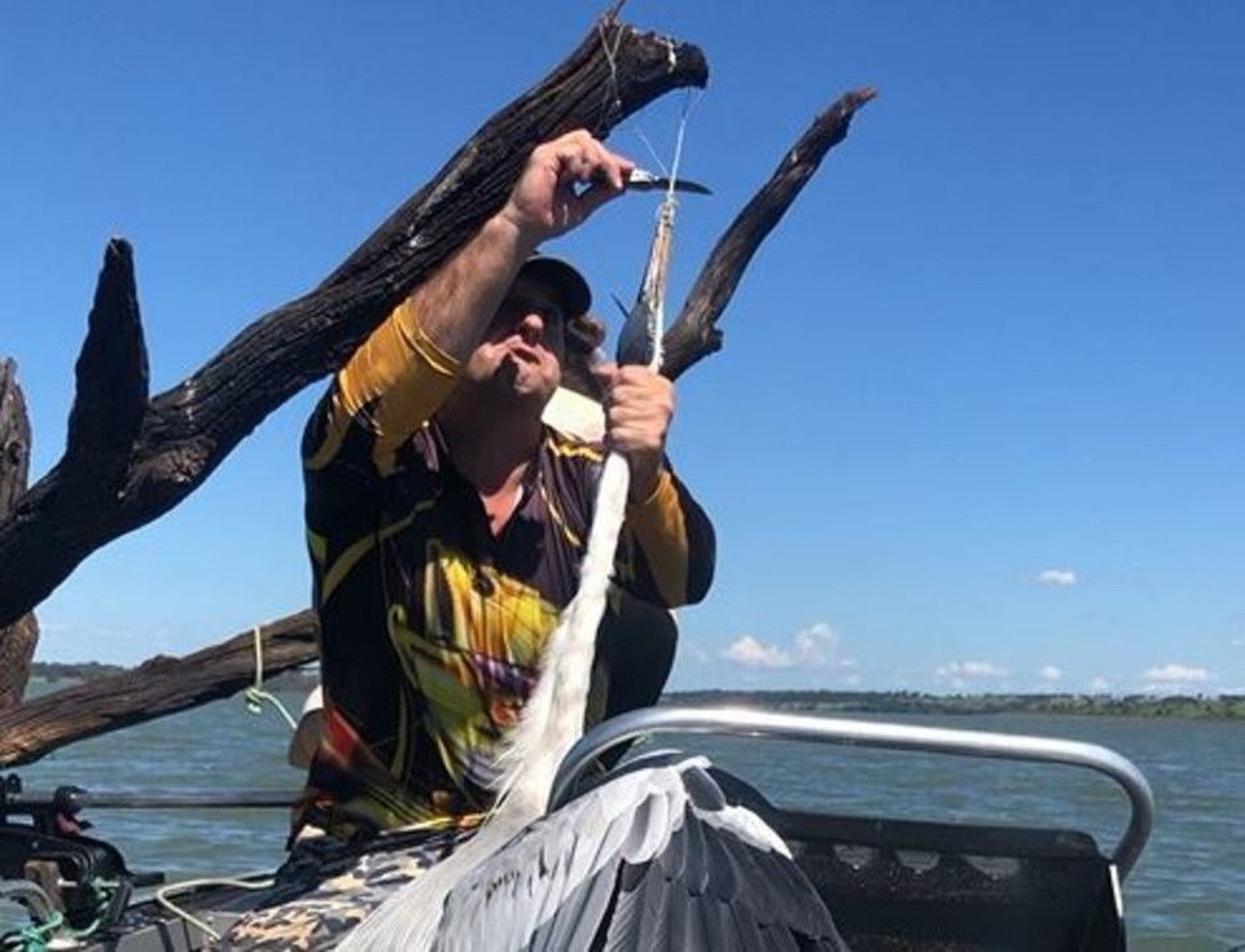 Pescador que viralizou ao resgatar garça no MS conta detalhes por