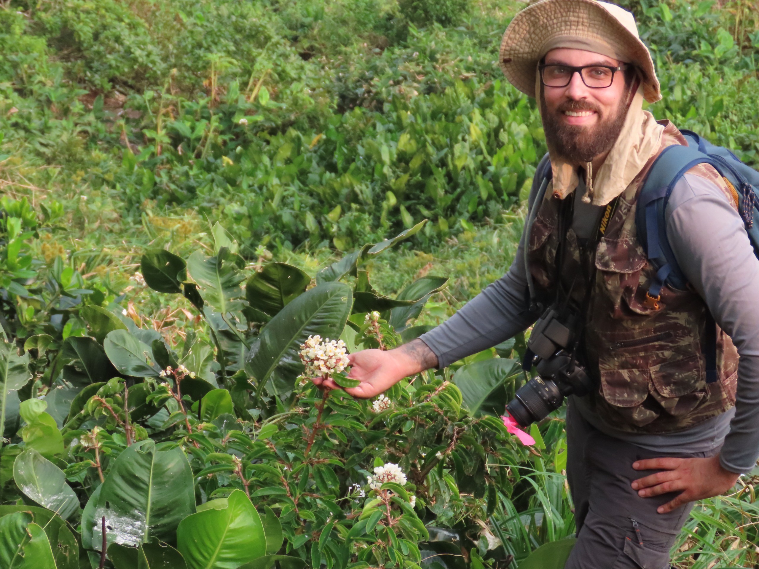 Planta brasileira é redescoberta após 'desaparecer' por mais de 100 anos