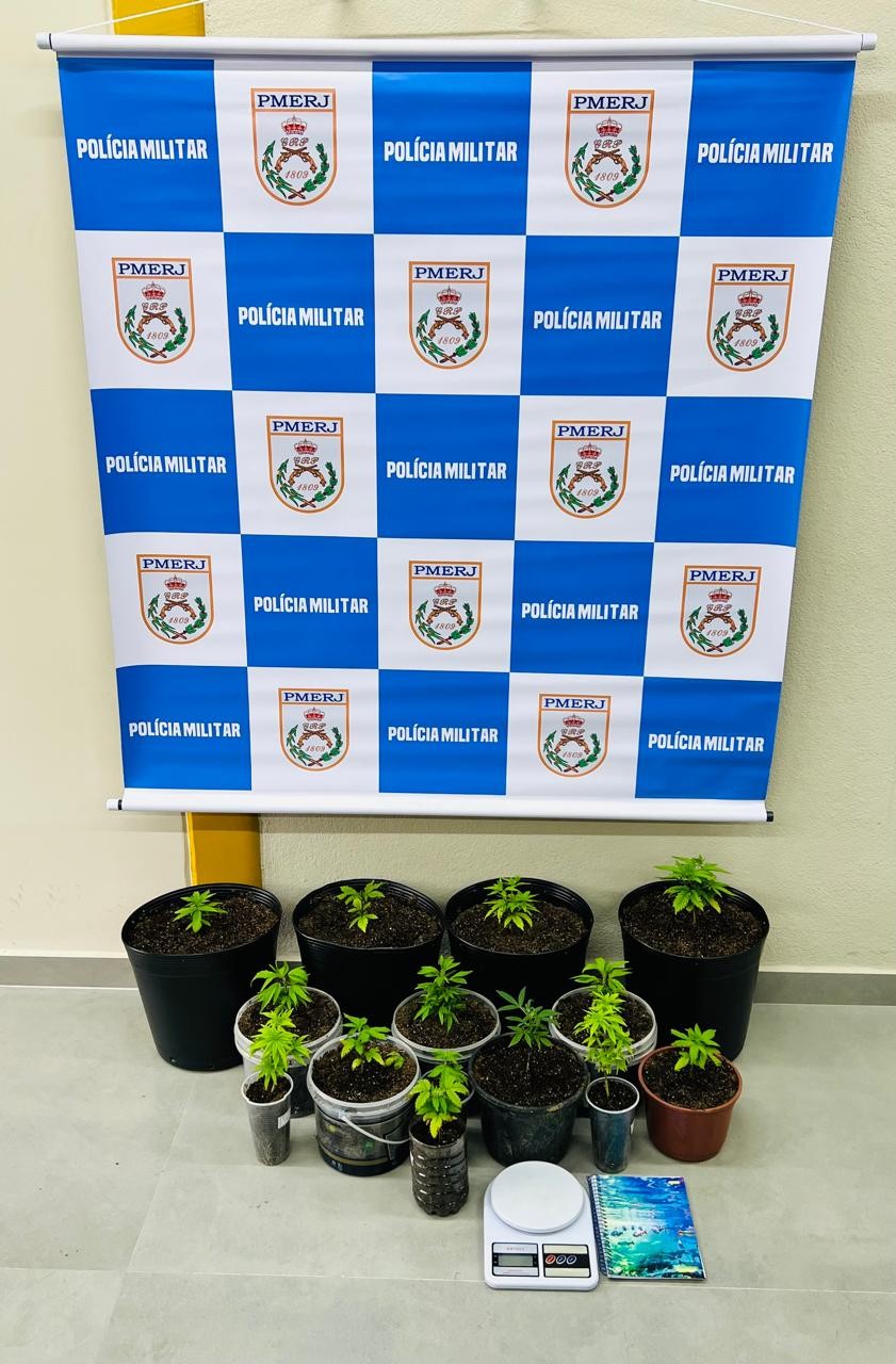 Homem é preso por cultivar 14 pés de maconha em Paraty 