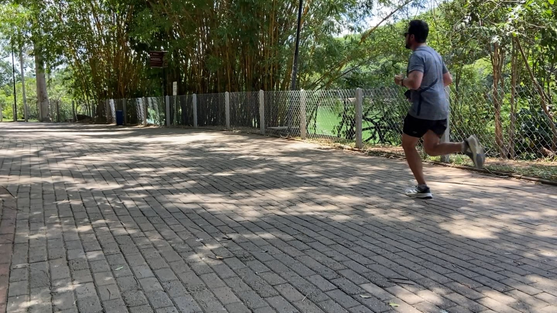 Febre maculosa: Lagoa do Taquaral, em Campinas, recebe cerca para conter circulação de capivaras