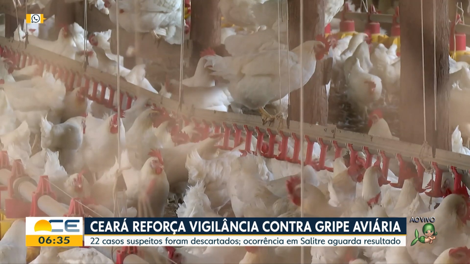 Assista às reportagens do Bom dia Ceará de terça-feira, 20 de maio