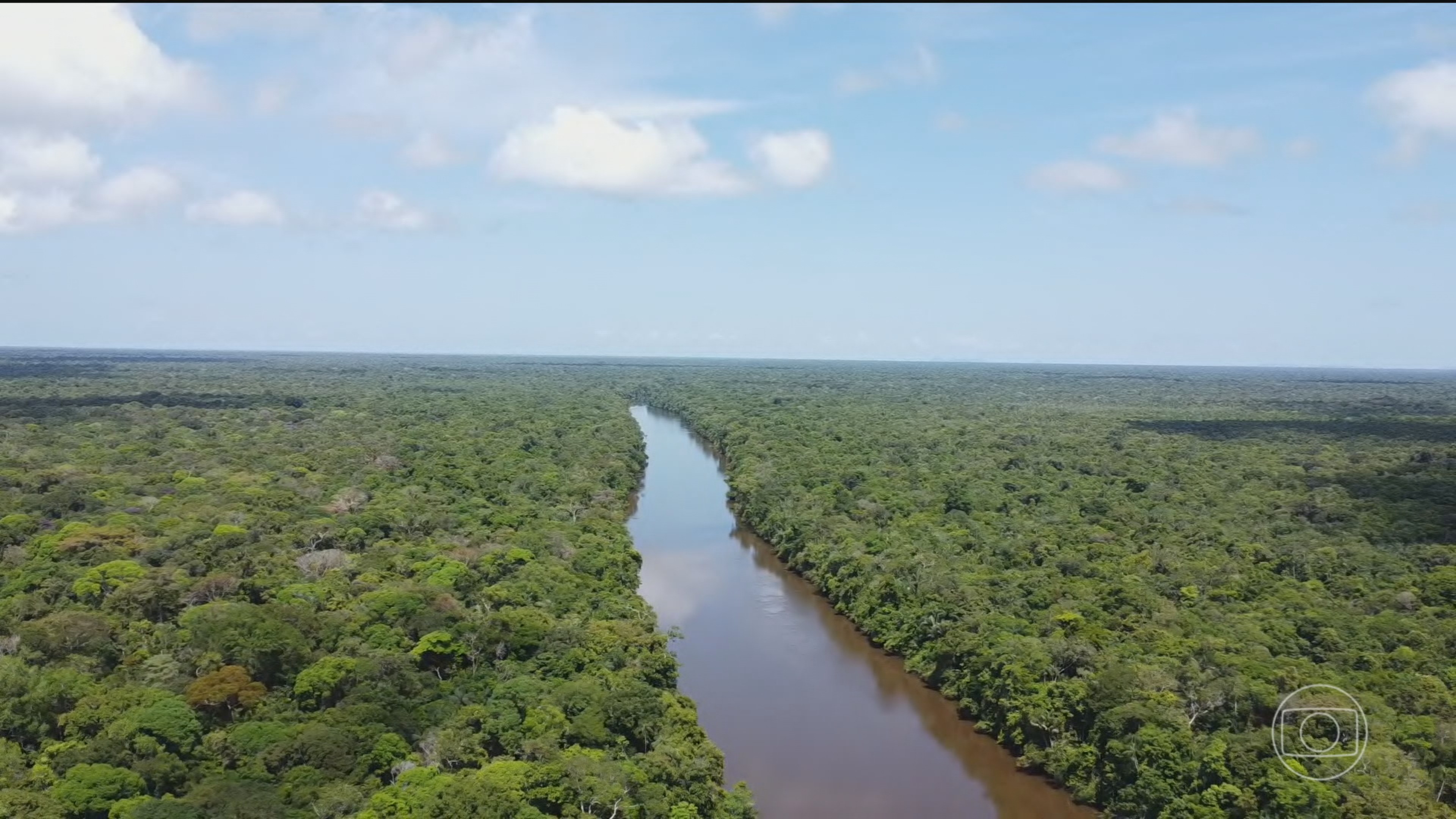 Desmatamento na Amazônia e no Cerrado cai para o menor nível desde o início das medições