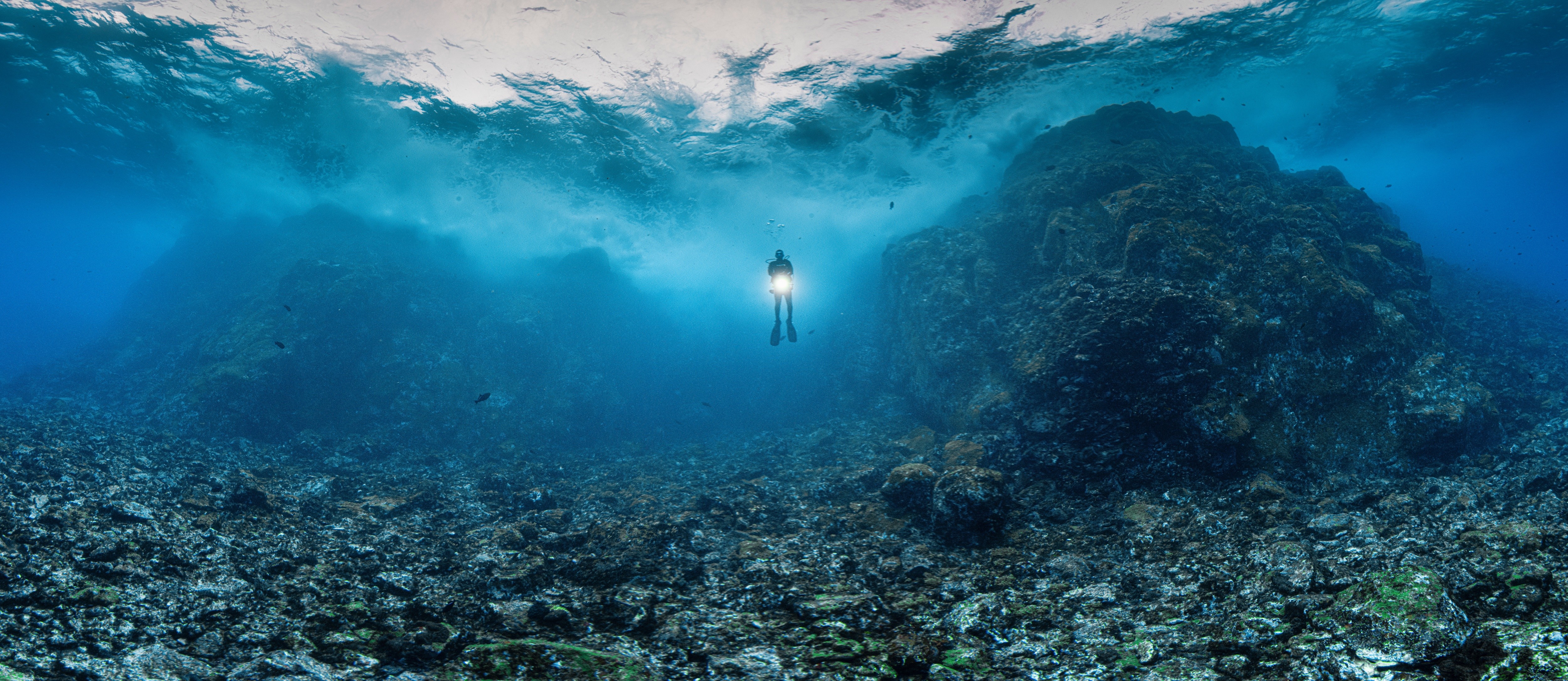 Fotógrafos criam imagens panorâmicas inéditas do fundo do mar de Fernando de Noronha