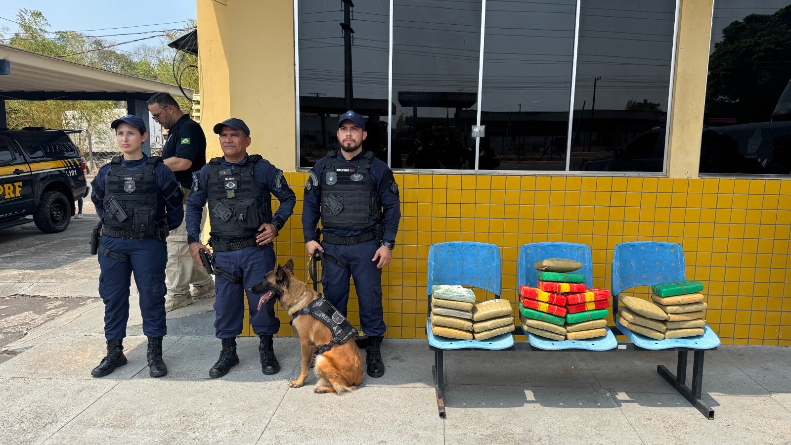 Cão farejador encontra 30 kg de drogas em ônibus na Zona Sul de Manaus