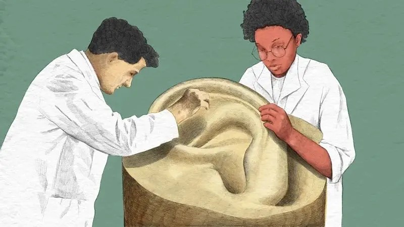 O que a cera do ouvido pode revelar sobre sua saúde
