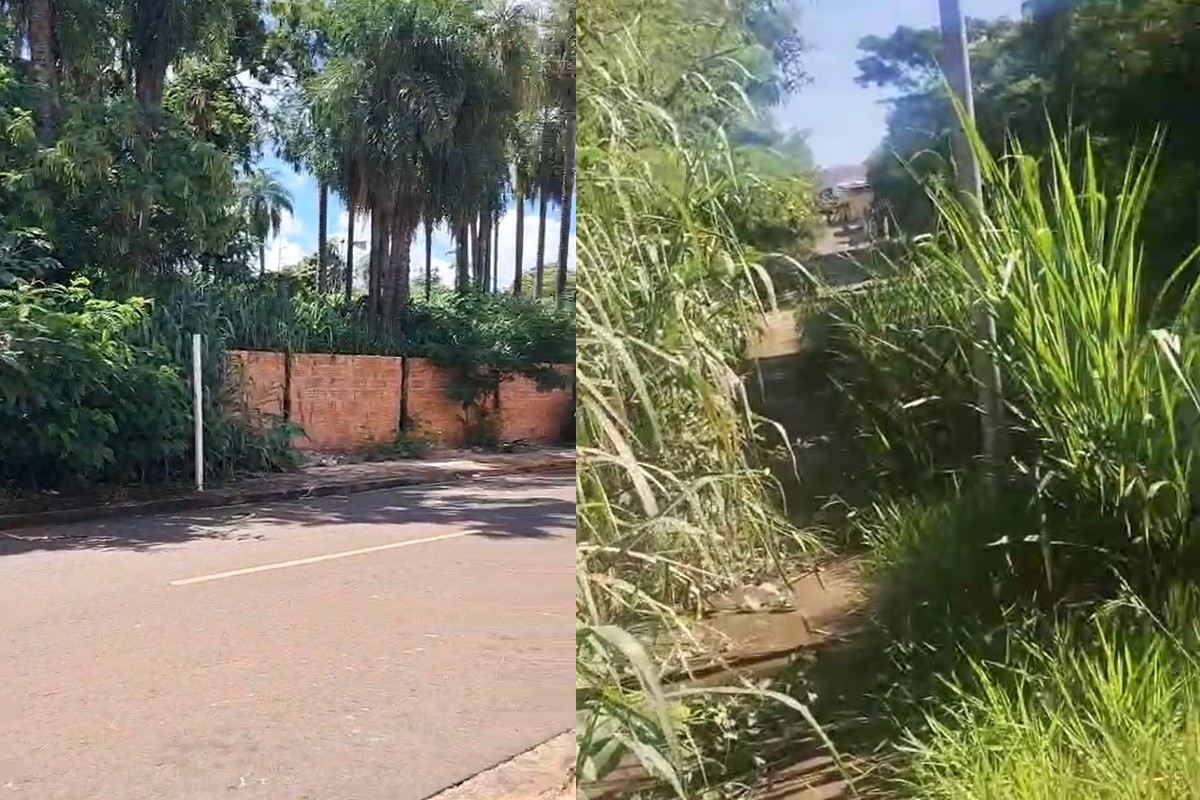 Cobras, lixo e água parada: terreno abandonado preocupa moradores em bairro de Campo Grande